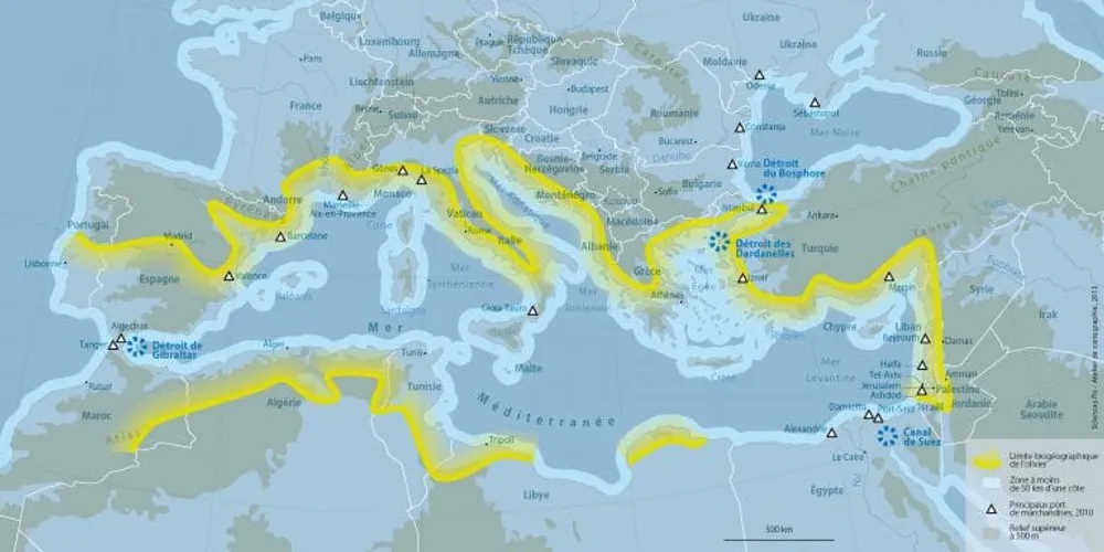 Aperçu visuel du projet