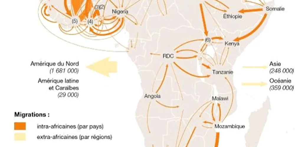 Couverture du projet Sénat - « L'Afrique est notre avenir »